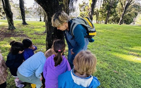 Image_20240716194037-1