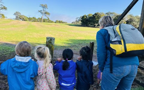 Image_20240716194125